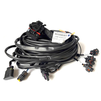 Проводка Landi Renzo Omegas EVO (4 цил) 612000109