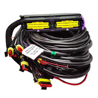 Проводка Stag 300 Q-MAX Basic 6 цил.