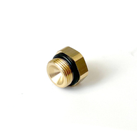 Заглушка для редуктора Kme Gold (M14x1) латунь