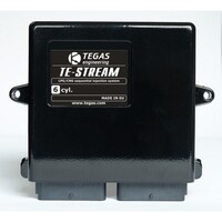 Блок управления Tegas TE-Stream (6 цил)