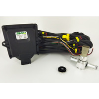 Zavoli BORA (S32) с OBD (4 цил) блок, проводка, мапсенсор, кнопка