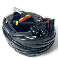 Проводка Romano 2-4 ANTONIO2 48пин OBD (LCB_03_M8)