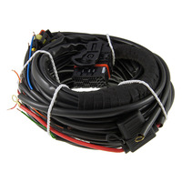 Проводка Stag 4 Q-box Basic